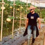 Kebun Melon Desa Rawang Panca Arga